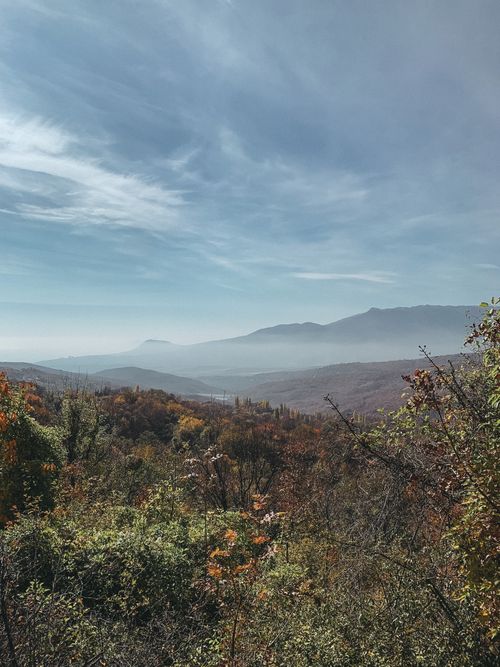 Free Serene mountain landscape with a vast forest under a clear blue sky. Stock Photo