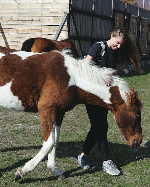 Woman in Black Shirt Holding a Horse