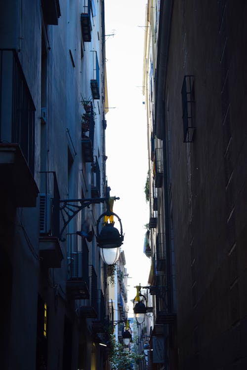 Photo of Alley Between Buildings