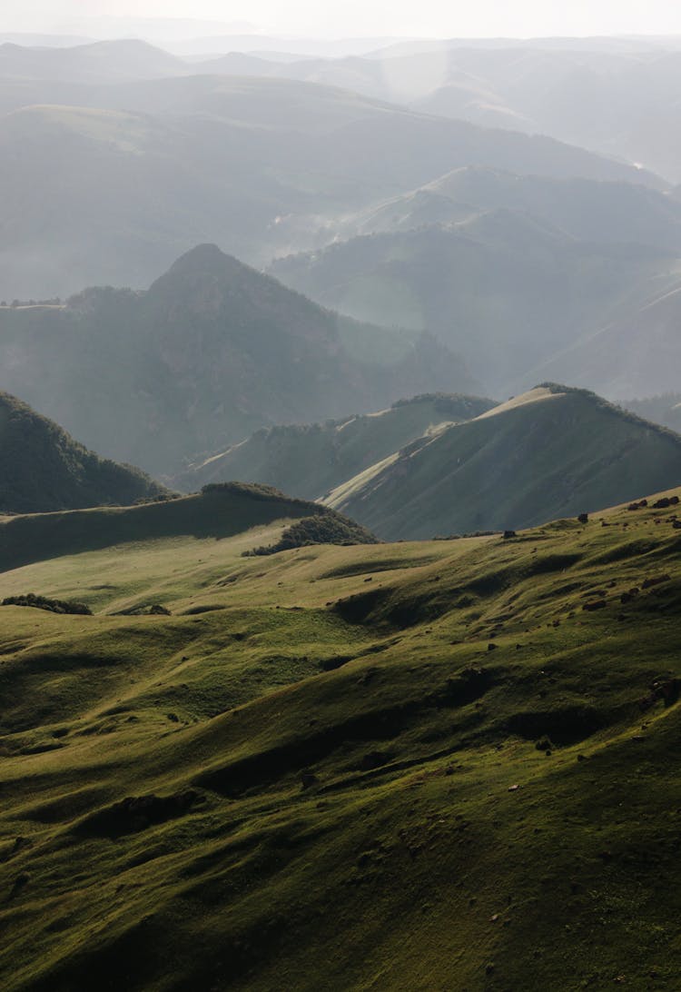 Grass Hills In Fog