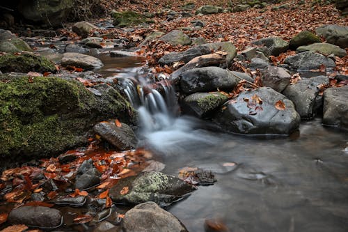Free Water Stream With Rocks on the Sides Stock Photo