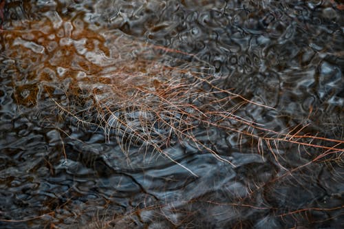 Free stock photo of babbling brook, background, beautiful Stock Photo
