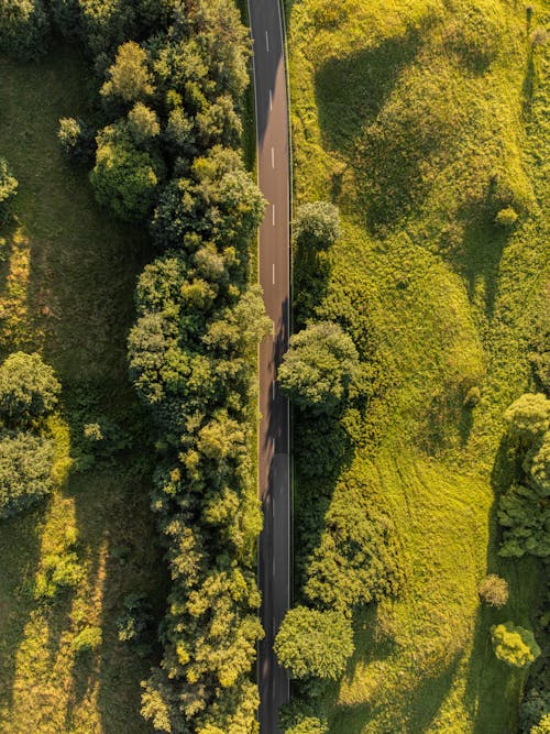 Бесплатное стоковое фото с асфальт, Аэрофотосъемка, вертикальный выстрел