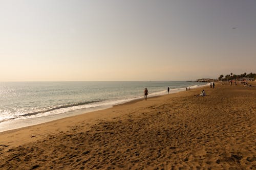 クリア, ビーチ, 地平線の無料の写真素材