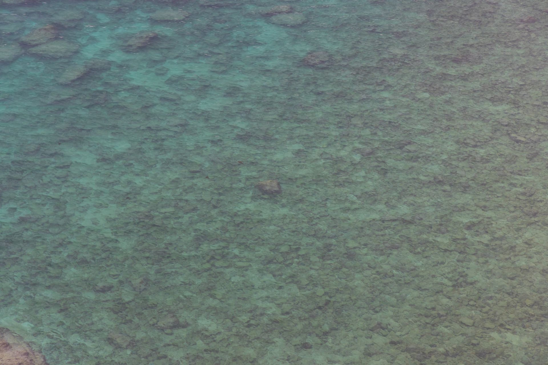 Underwater at Punta Espinoza