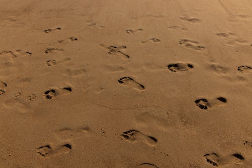 Footprints on Brown Sand