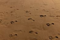 Foot Prints on White Sand