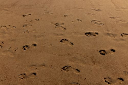 Free Close-up of various footprints on a sandy beach surface, capturing the texture and patterns. Stock Photo