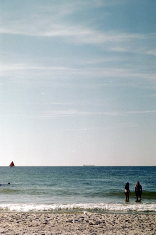 Free People Standing on Shallow Water at a Beach Stock Photo