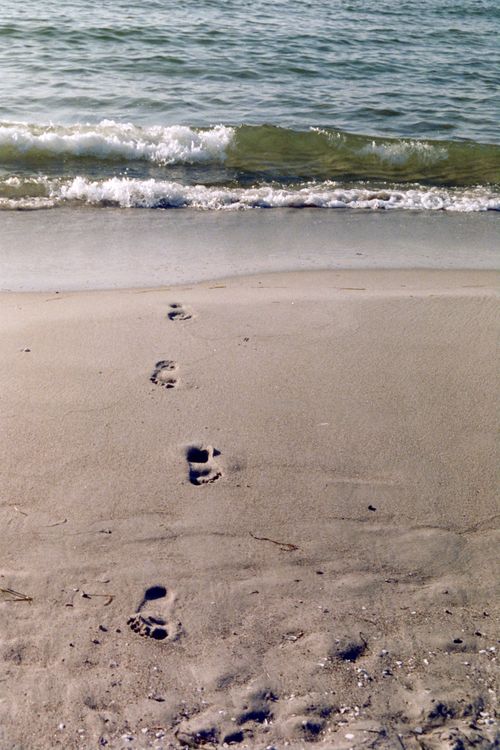 Free Peaceful beach scene with footprints leading to gentle ocean waves. Stock Photo