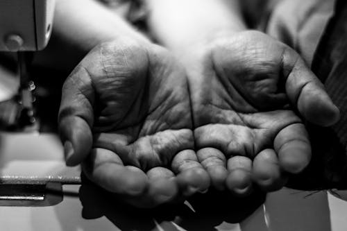 Free stock photo of black and white, fingers, hands