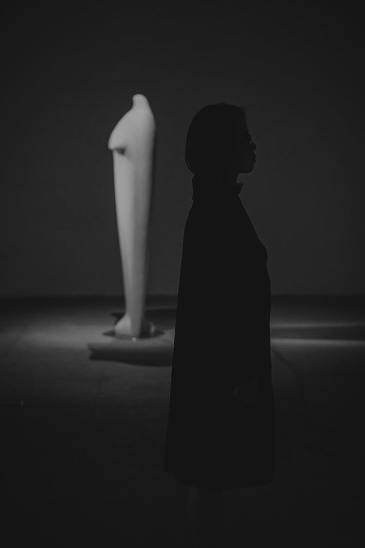 
A Silhouette Of A Woman Wearing Cape