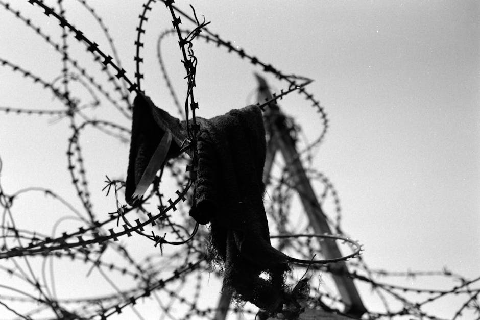 Black and white image of barbed wire with cloth in a dramatic sky setting.