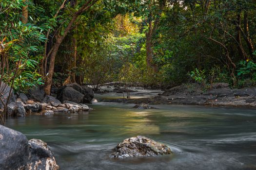 Peaceful stream flowing through lush tropical forest, capturing natural beauty and tranquility.
