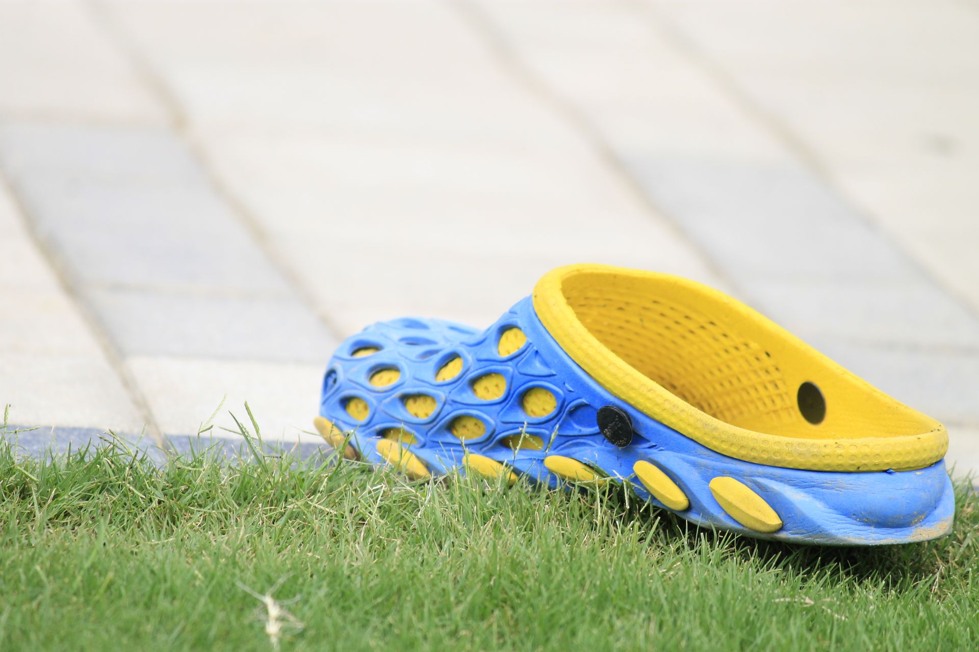 Vibrant blue and yellow clog resting on grass with a textured background, captured in high detail.