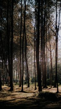 Image by Nur Andi Ravsanjani Gusma