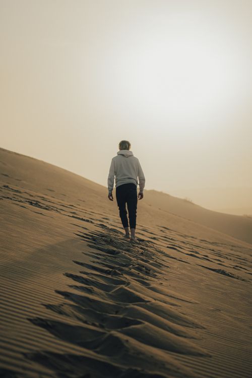 Free A lone figure walks on desert dunes at sunrise, casting long shadows in the sand. Stock Photo