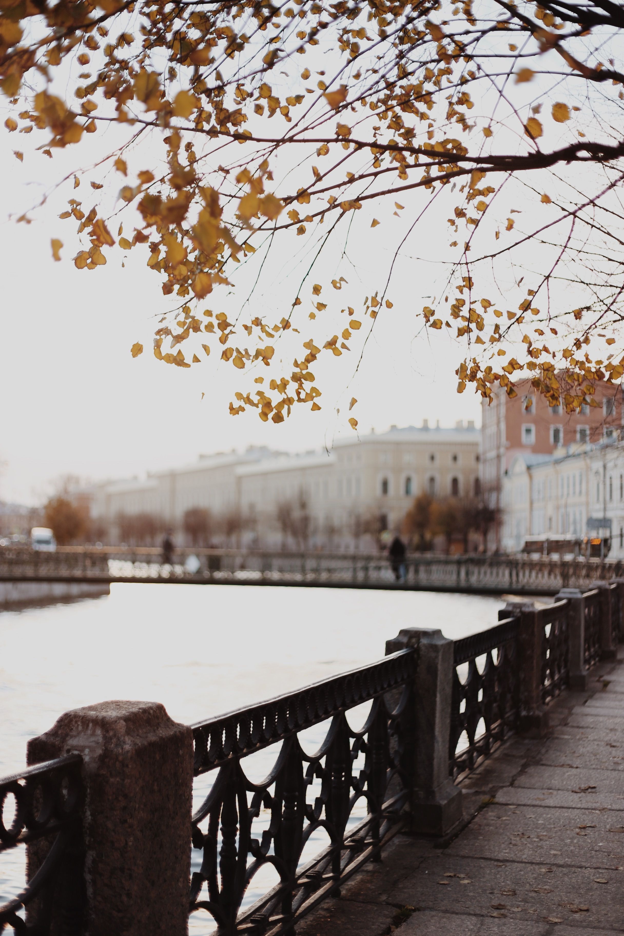 A peaceful riverbank with a metal fence and autumn leaves in a foggy cityscape. Perfect for atmospheric needs.