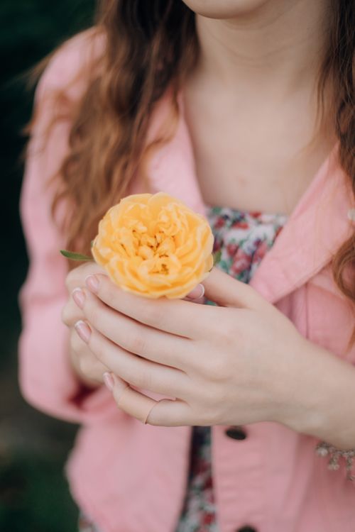 Free Close-up of a woman holding a yellow rose, highlighting elegant hands and a floral dress. Stock Photo