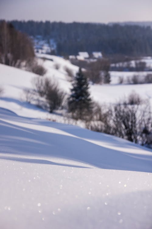 Gratis stockfoto met besneeuwd, kou, sneeuw bedekt