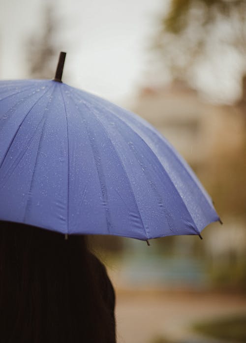 Kostnadsfri bild av droppar, närbild, paraply