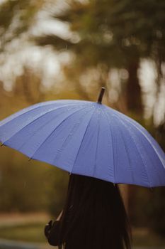 Silhouette of a woman holding a blue umbrella in a serene rainy setting.