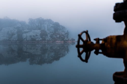 Reflexion Von Bäumen Auf Dem Wasser