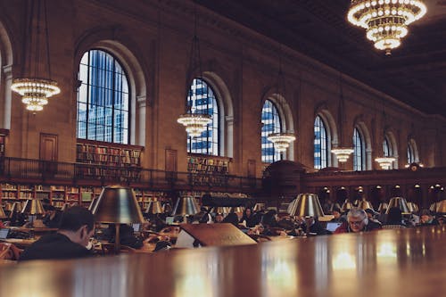 Foto De Pessoas Na Biblioteca