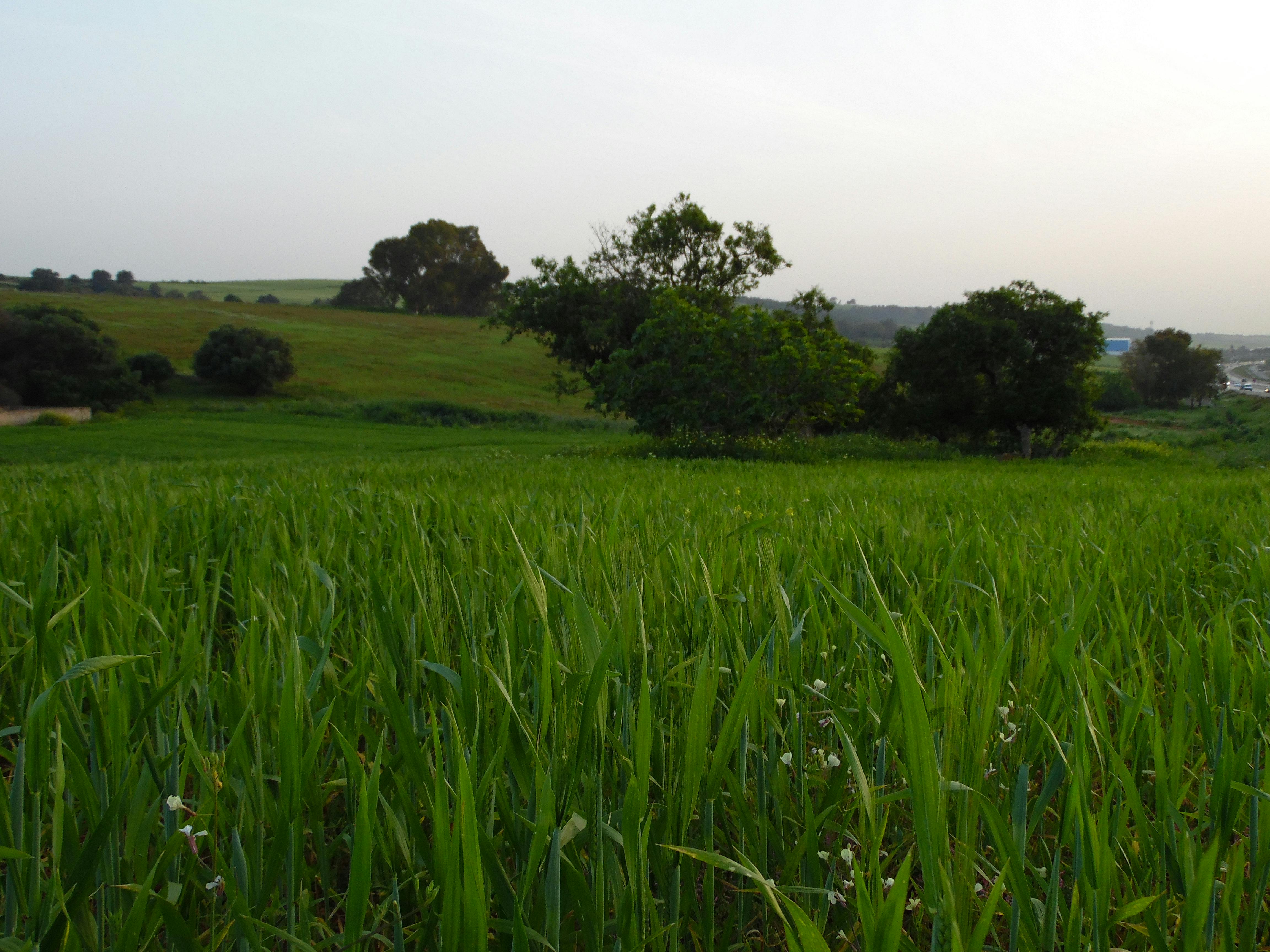 Đồng hồ chỉ 3 giờ sáng, bầu trời tối