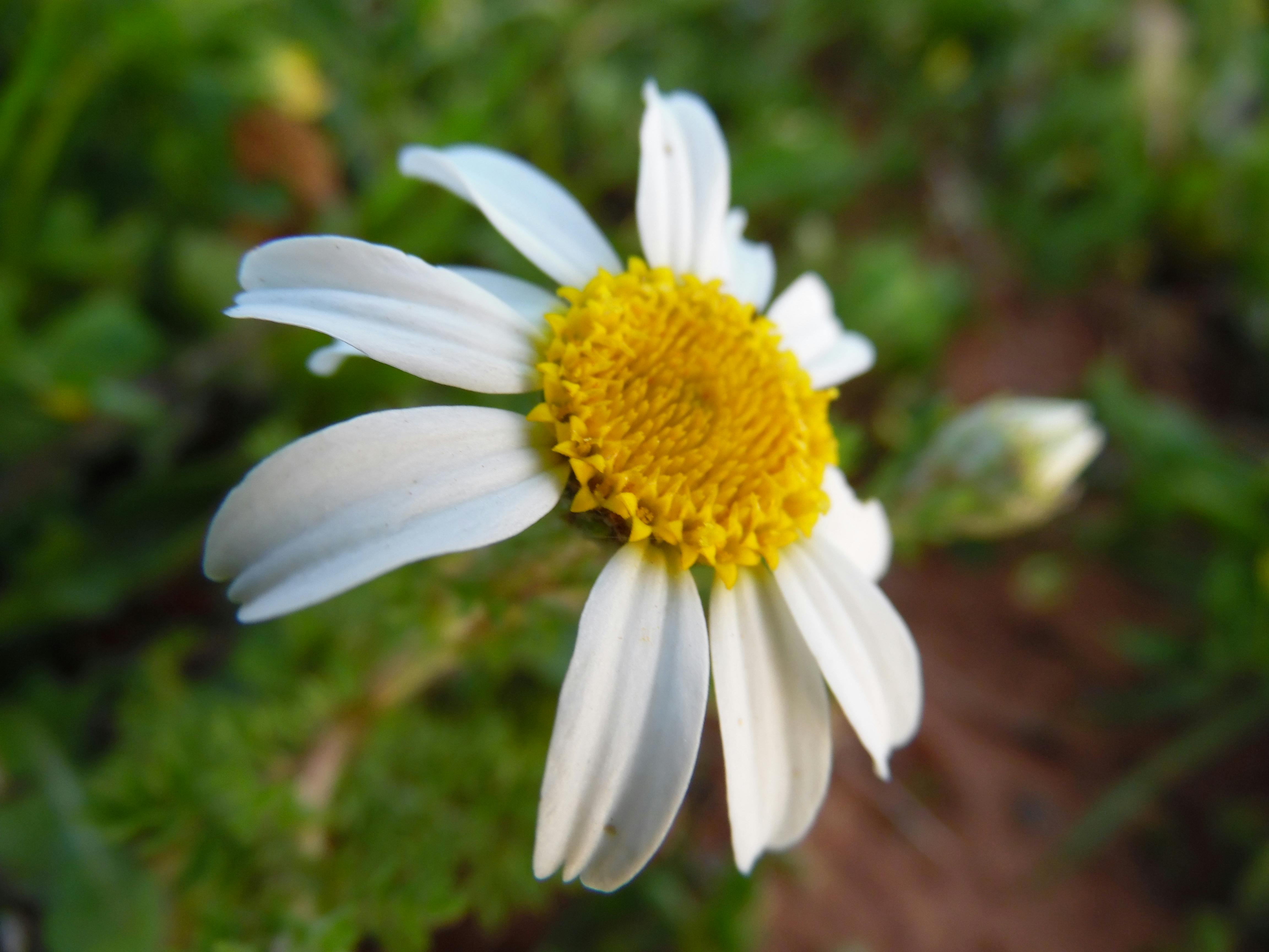 오래 신은 신발 밑창, 바깥쪽이 닳아있는 모습