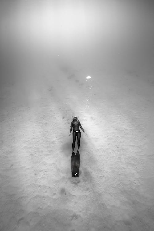 Imagine de stoc gratuită din alb-negru, fotografiere verticală, înot