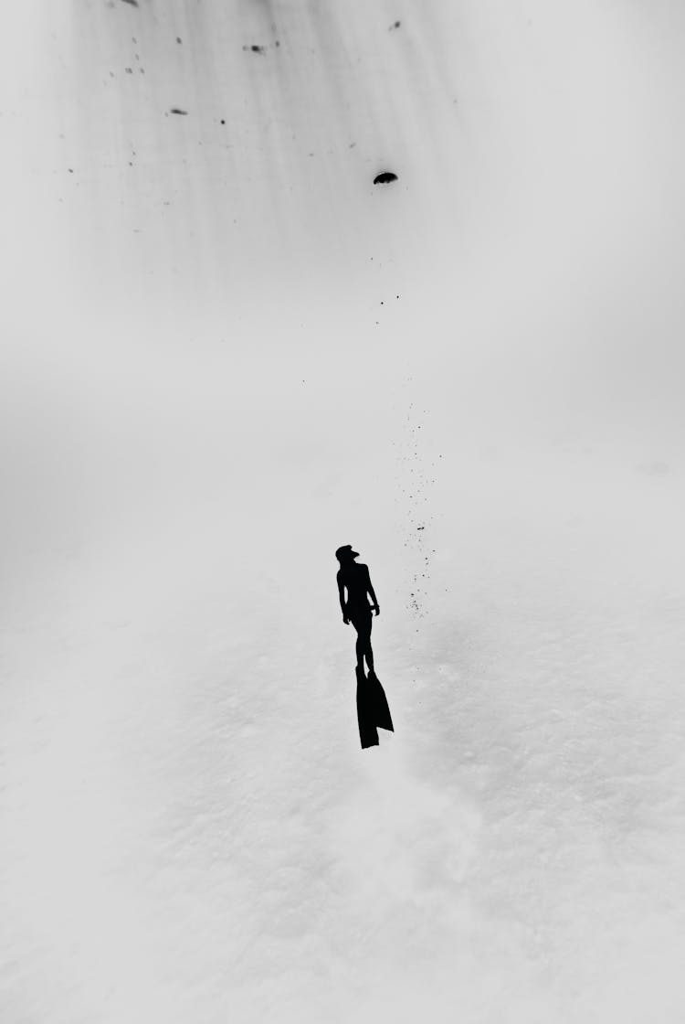 Silhouette Of Person Diving Underwater