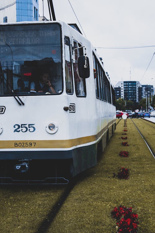 Tram Stopping on a Train Stop