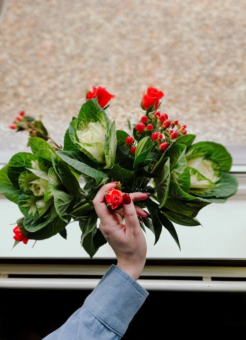 Hand Touching Flowers on Windowsill