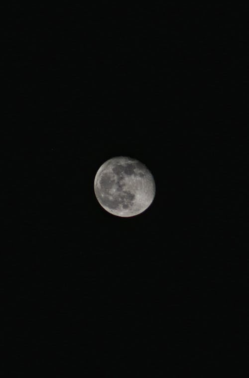 Free Full Moon in the Sky Stock Photo