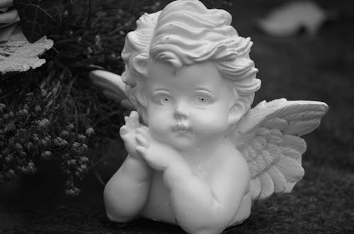 bezplatná Základová fotografie zdarma na téma anděl, černobílý, detail Základová fotografie