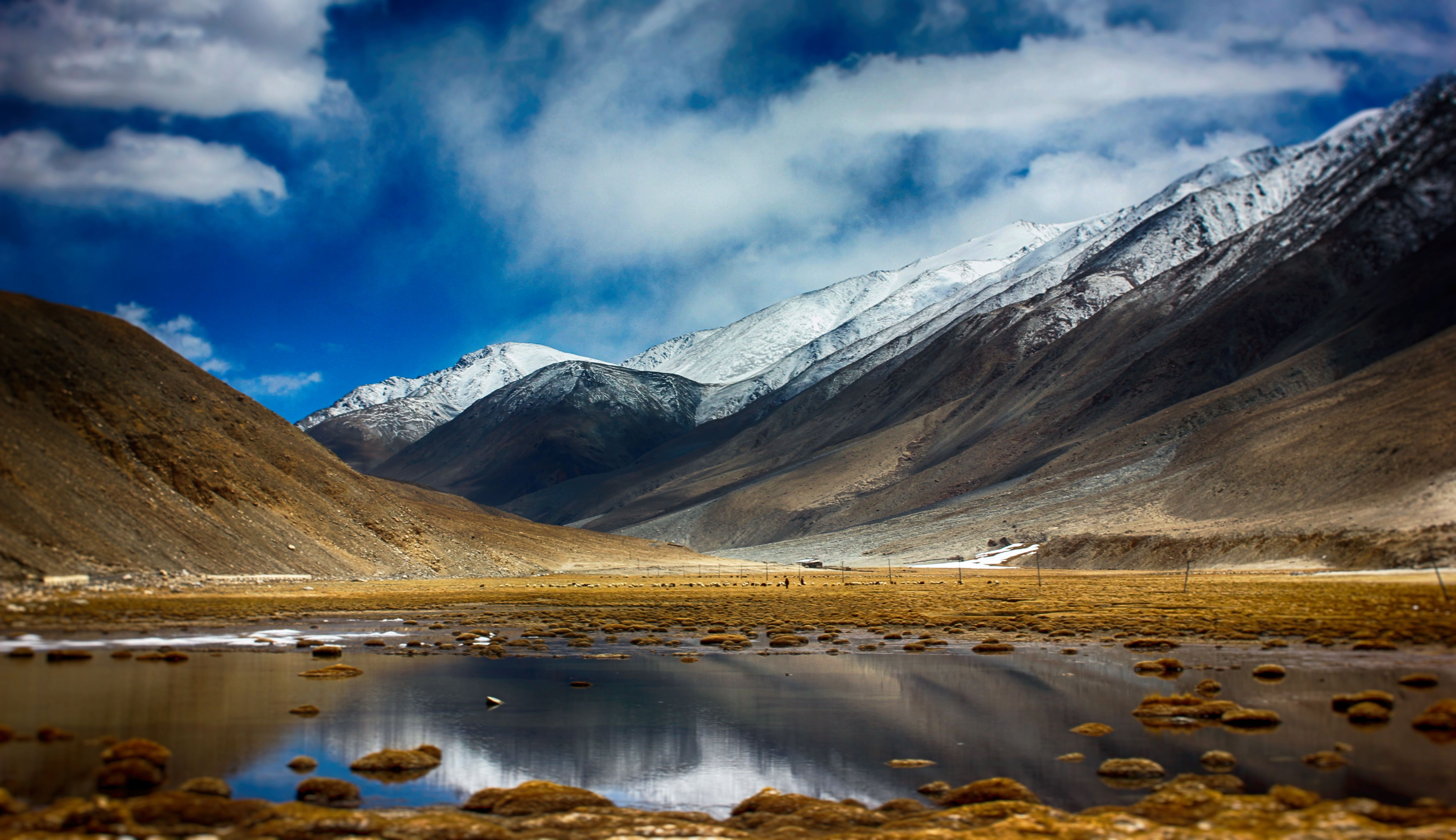 Scenic View of Mountains \u00b7 Free Stock Photo