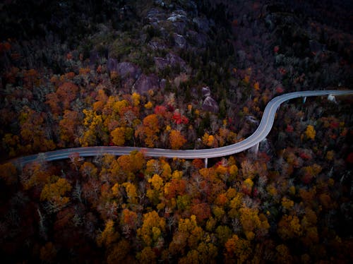 Aerial View of Road in the Middle of Autumn Forest