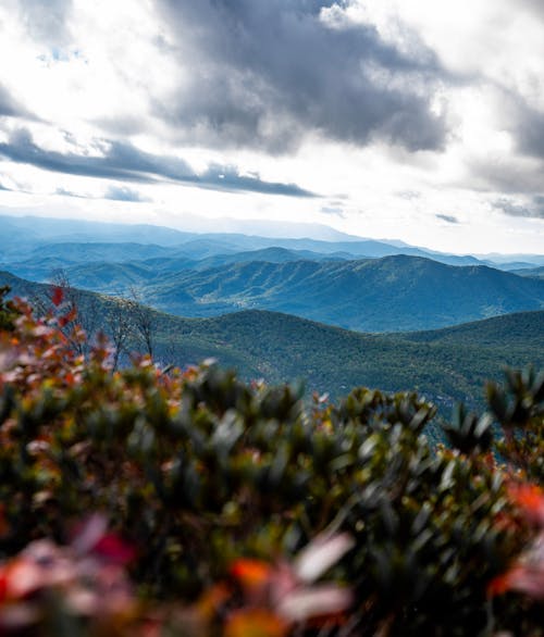 Immagine gratuita di carolina del nord, cielo cupo, erba