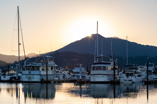 Yachts and boats moored in a marina at dawn with mountains in the background.