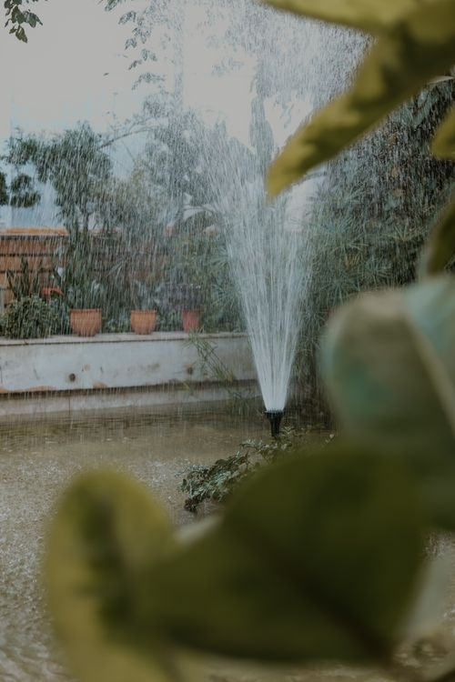 Free Serene garden scene with a water fountain surrounded by potted plants and lush greenery. Stock Photo