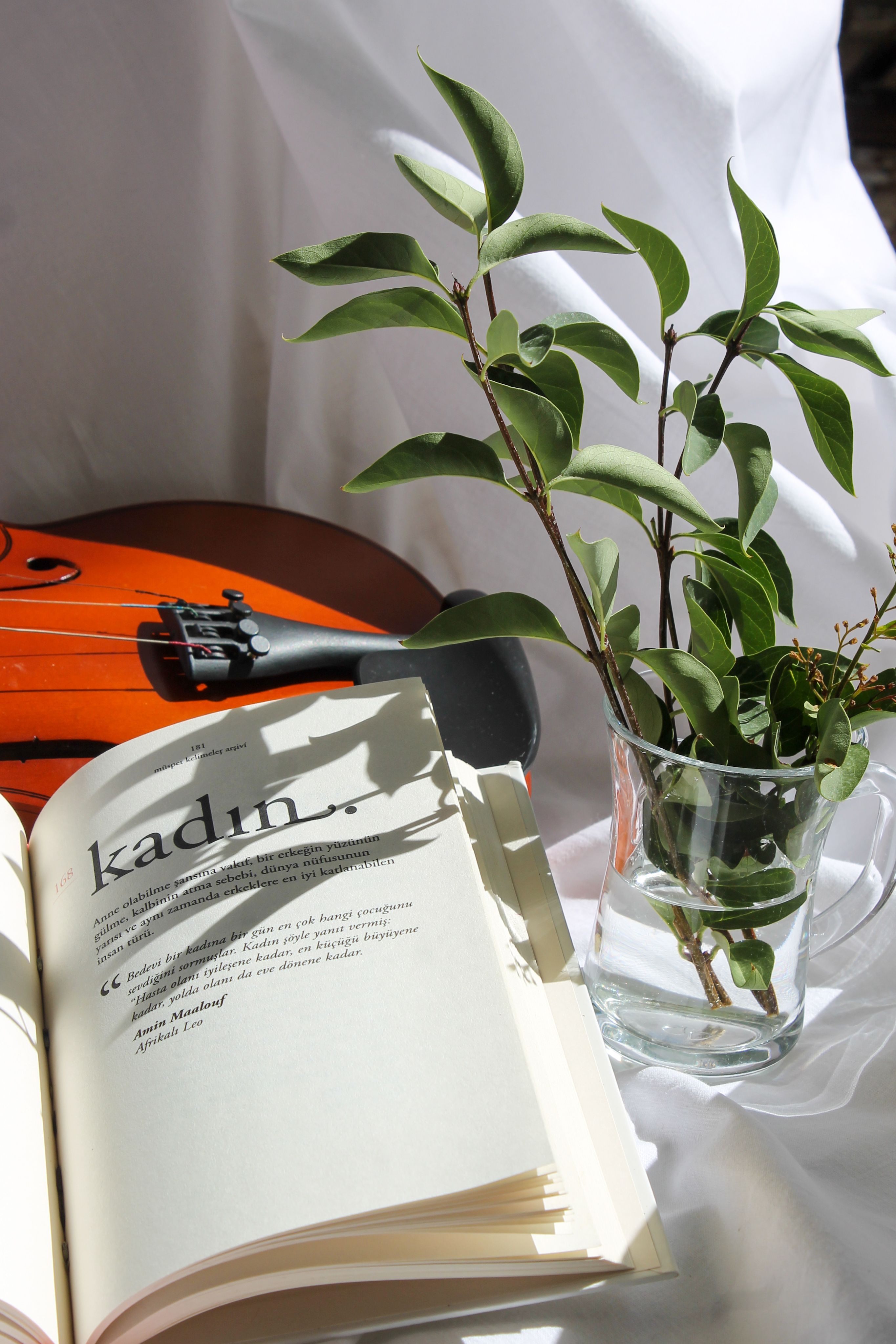 Still life featuring an open book, violin, and leafy branch in vase on white cloth.