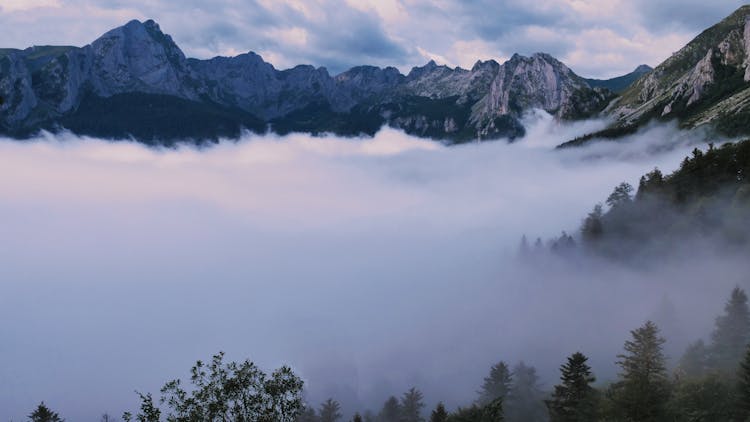 Valley In Fog At Dawn