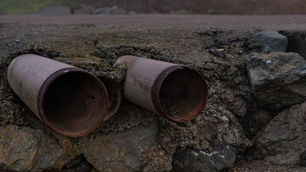 7 Signs Your Main Sewer Line Is Broken