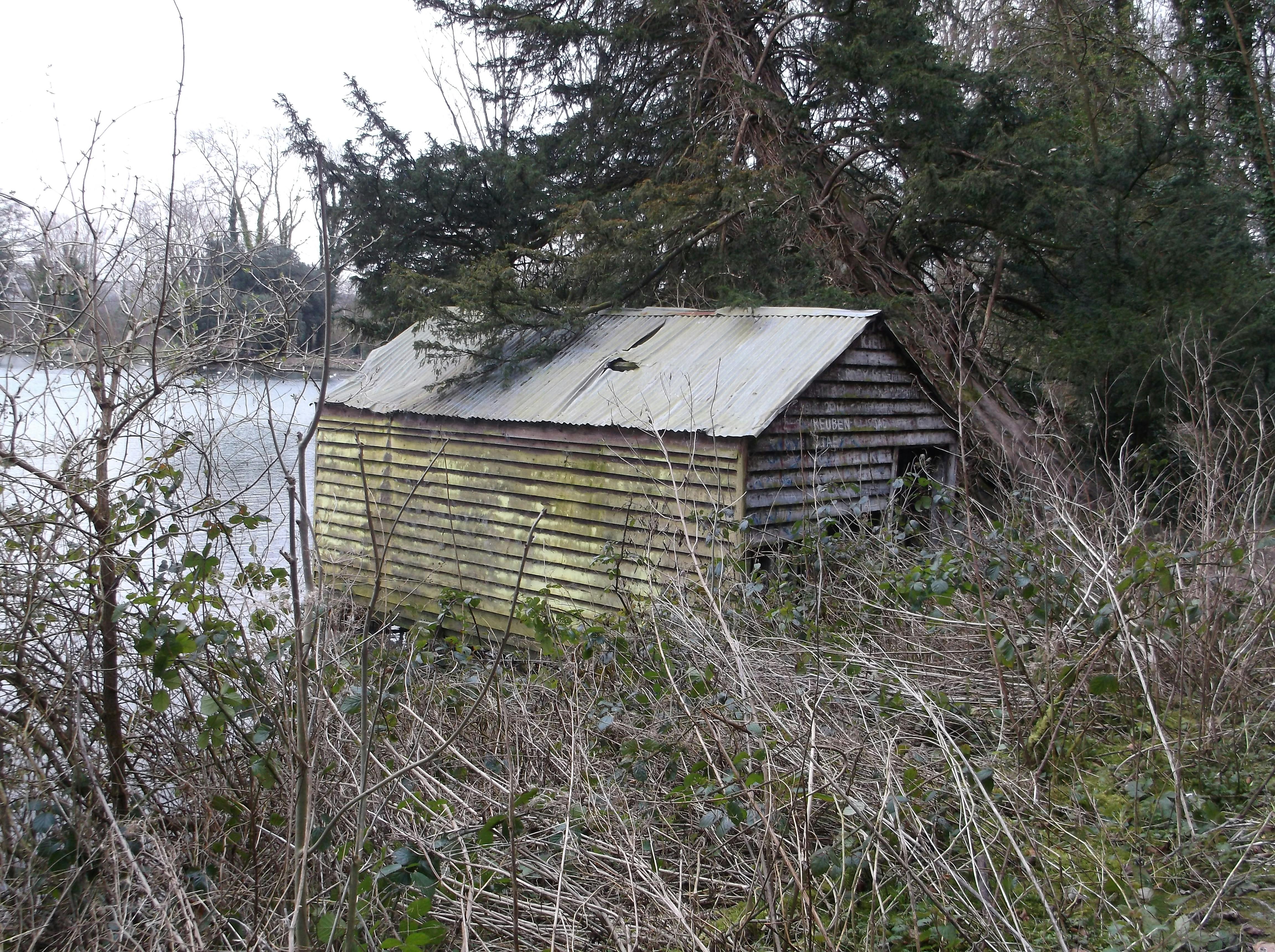 Free stock photo of cold, lake house, tranquil