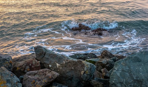 Безкоштовне стокове фото на тему «берег, вода, зіткнення»