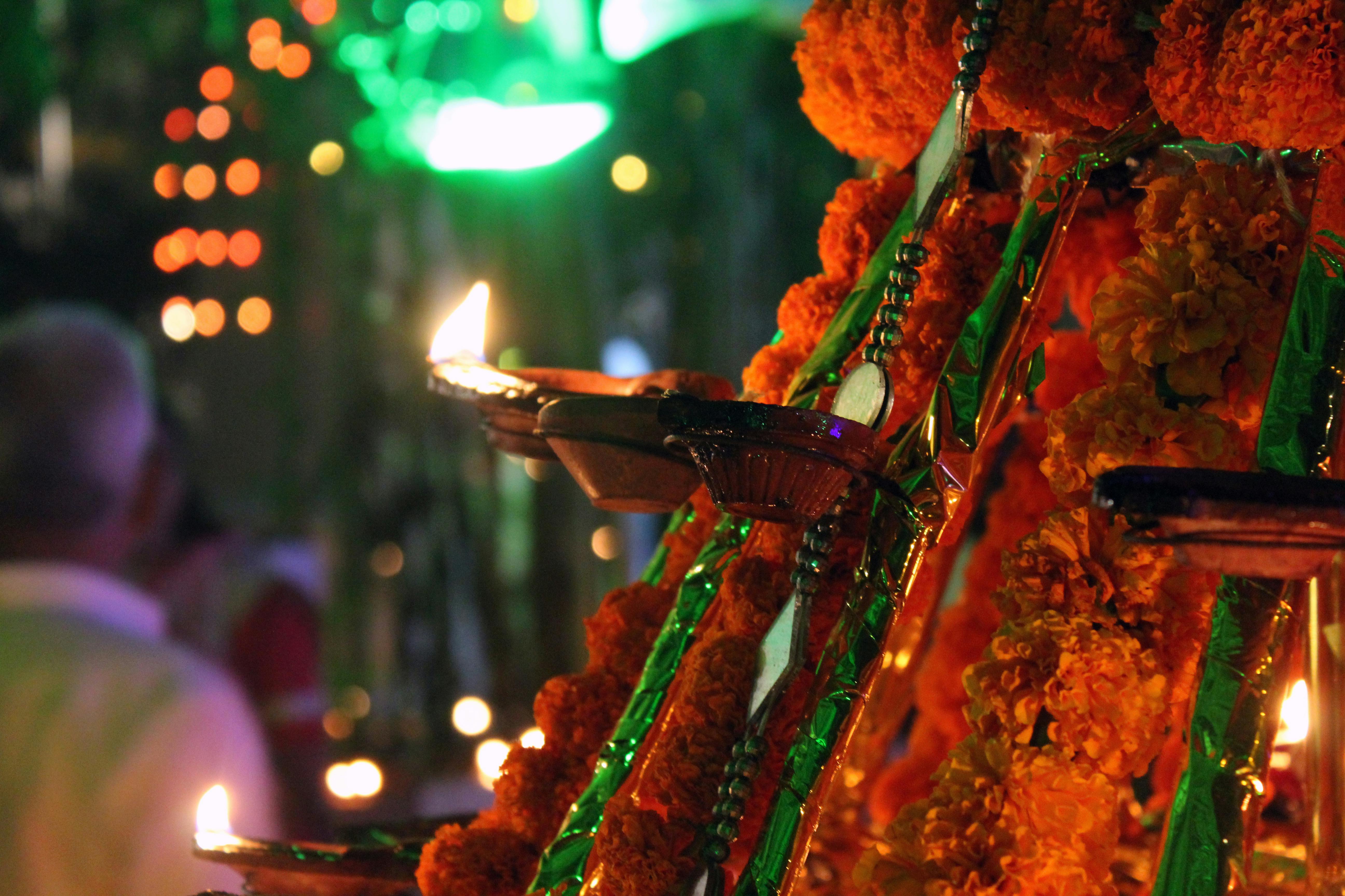 Free stock photo of festival, india, Indian Festival: Diwali