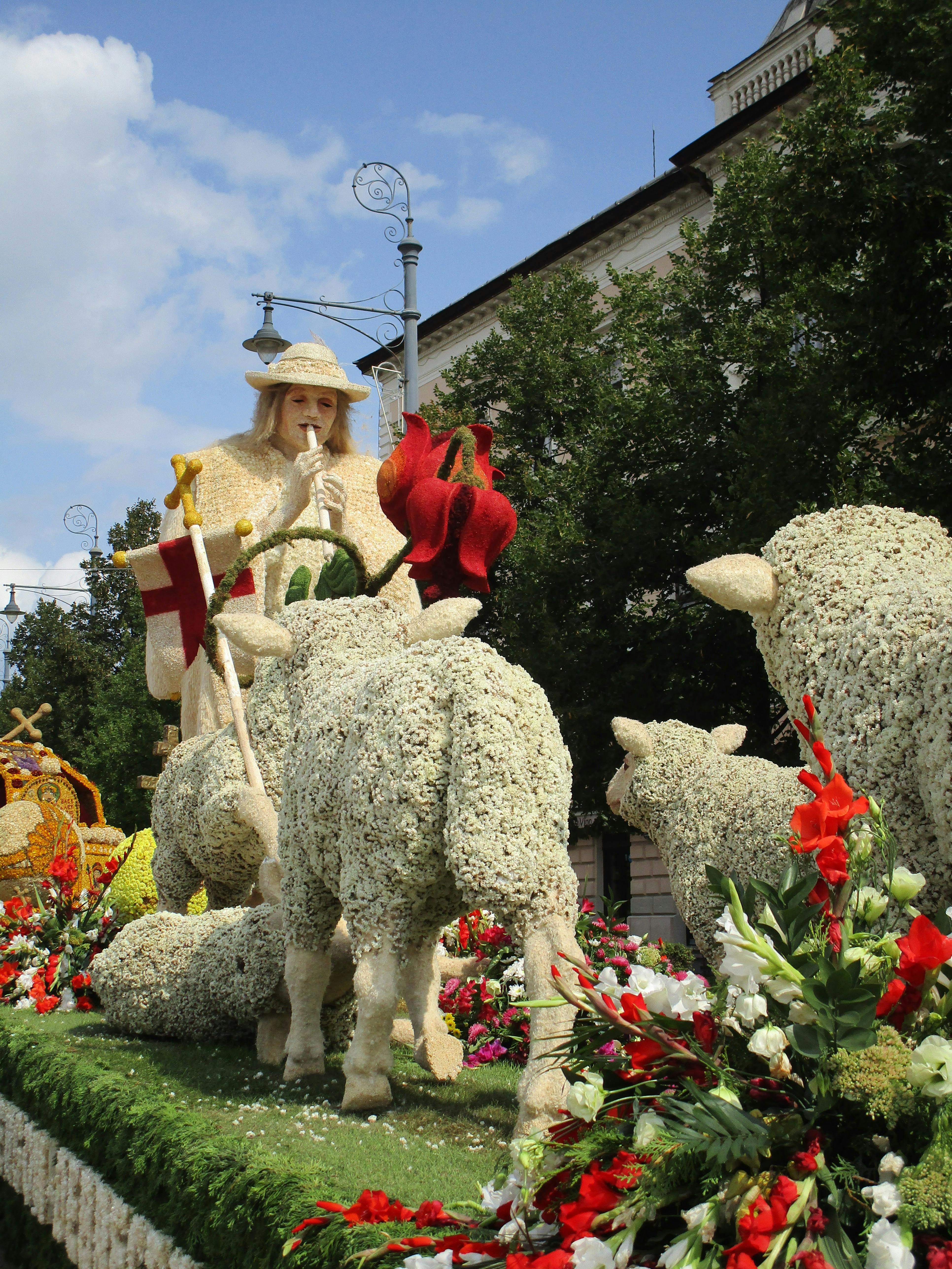 Free stock photo of flower carnival - shepherd and his sheep