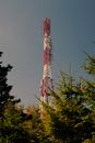 Red and White Tower Surrounded by Green Trees