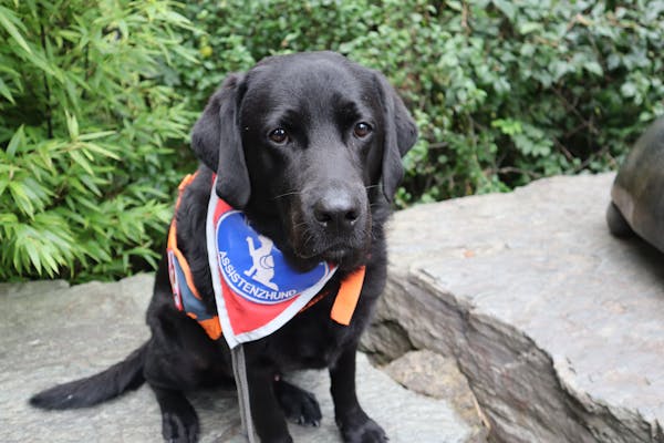 Spotify Premium 3 Months